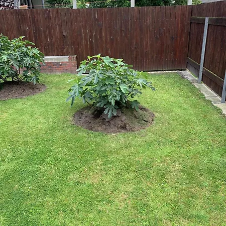 Ankerweg An Der Seehundstation Typ E Norden